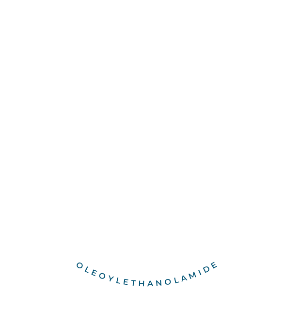 About Trpti